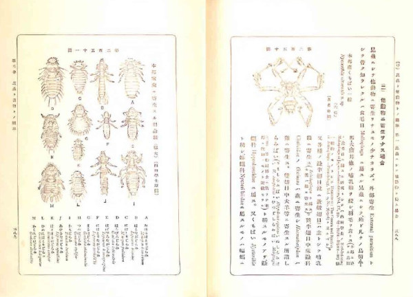 15d4d7f9380aef8e637b40c117efdefe_1786516777_1468.jpg